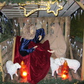 IMG 0018