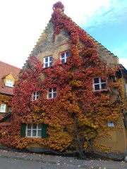 augsburg020