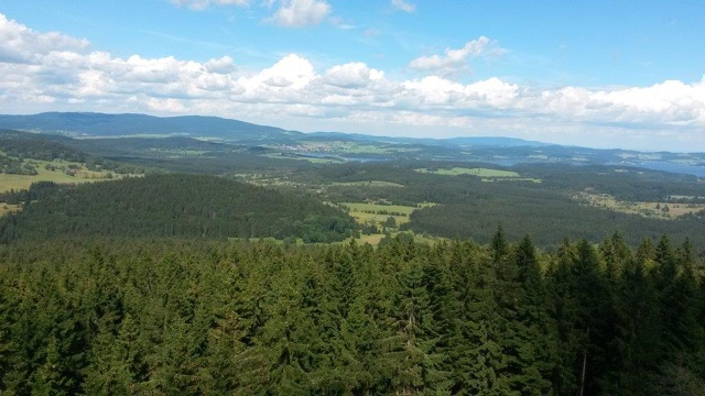 20160814_144450.jpg